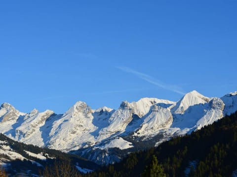 Appartement 3 pièces avec garage, 6 couchages au Grand-Bornand - FR-1-241-100 Apartment in Le Grand-Bornand