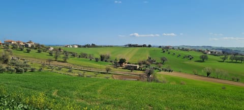 Relax da Sabry House in Marche