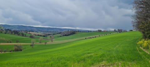 Relax da Sabry House in Marche