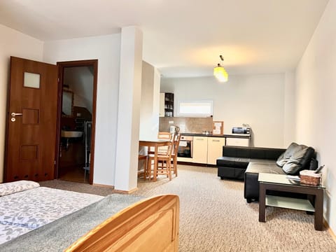 Bronowice Apartment in Krakow