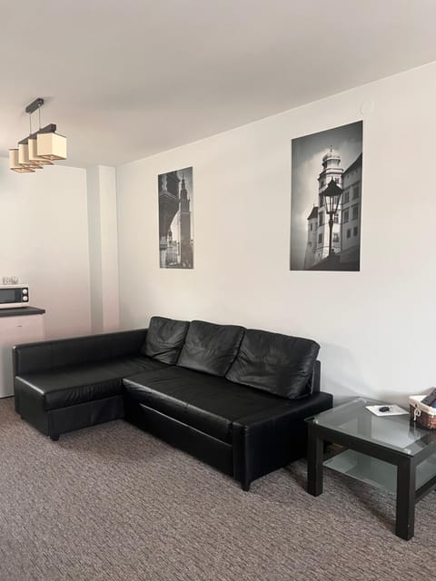 Bronowice Apartment in Krakow