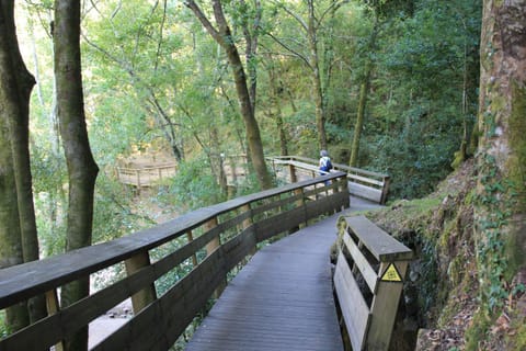 Nearby landmark, Natural landscape