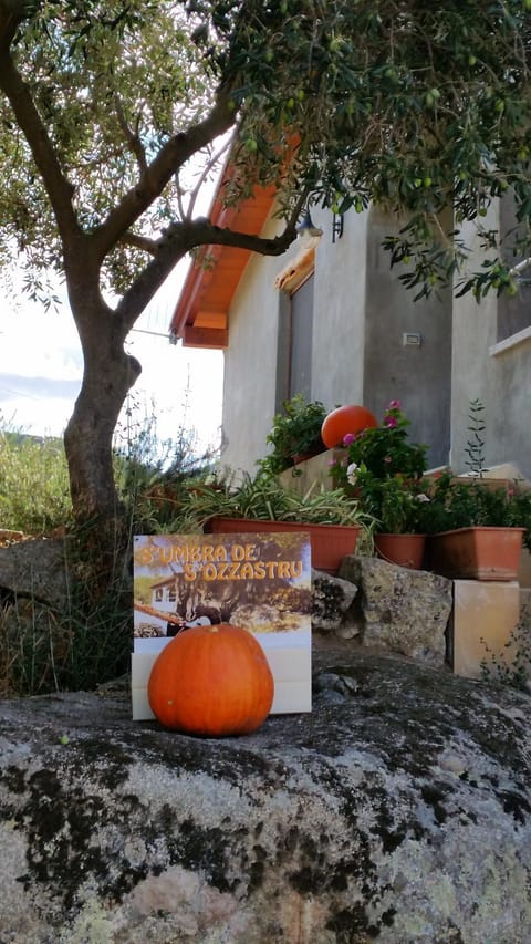 Property logo or sign