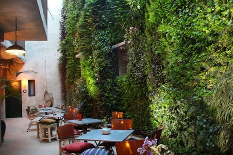 Garden, Garden