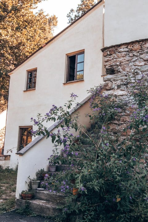 Le Petit Chateau Farm Stay in Liguria