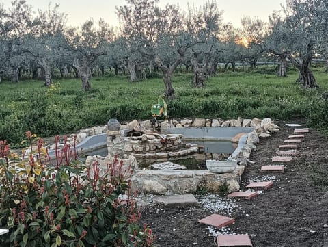 B&B Pozzo Innamorato Bed and Breakfast in Molise, Italy