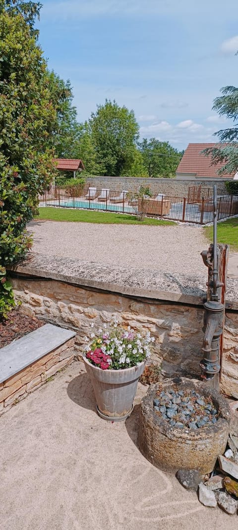 Natural landscape, Garden, Swimming pool