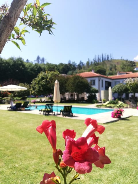 Day, Garden, Garden view, Pool view, Swimming pool