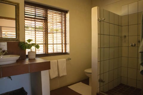 Zebra Cottage and Lodge Hotel in Stellenbosch