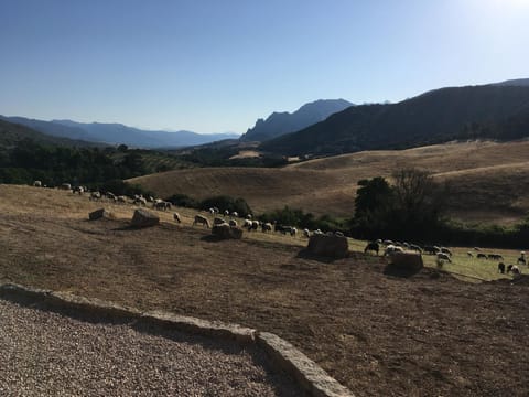Day, Natural landscape, Mountain view