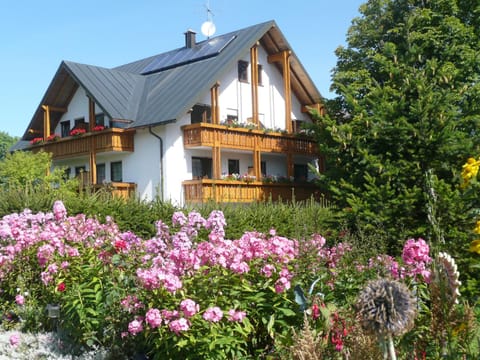 Property building, Summer