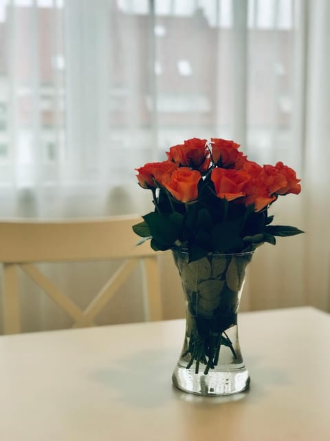 Taikos apartamentai Nidoje Apartment in Klaipėda County, Lithuania