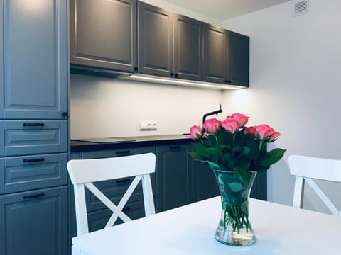 Taikos apartamentai Nidoje Apartment in Klaipėda County, Lithuania