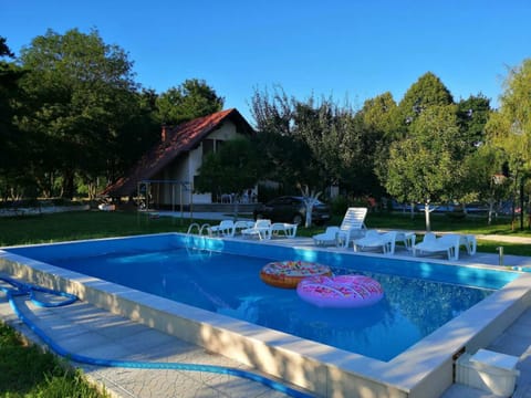 Day, Natural landscape, Garden, Pool view, sunbed