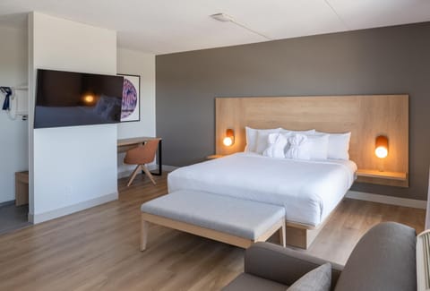Bed, TV and multimedia