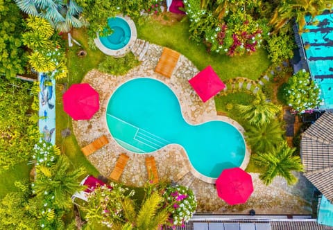 Spring, Day, Pool view, Swimming pool