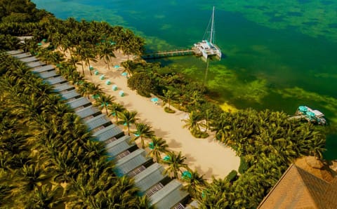 Activities, Bird's eye view, Beach, Sea view