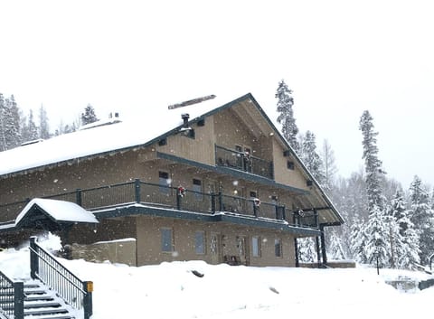 Property building, Winter