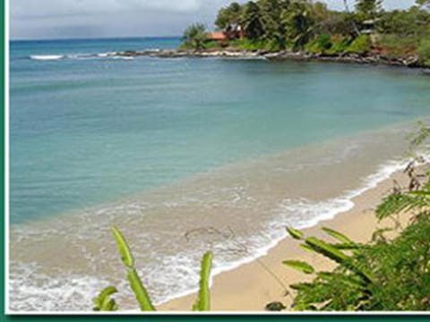 Maui Beach House B & B Bed and Breakfast in Kapalua