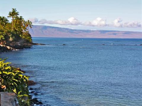 Maui Beach House B & B Bed and Breakfast in Kapalua