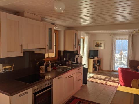 TV and multimedia, Kitchen or kitchenette, dishwasher, oven, stove