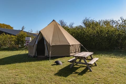 Herston Caravan & Camping Campground/
RV Resort in Swanage