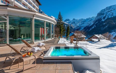 Natural landscape, Winter, Garden, Hot Tub, Sauna, View (from property/room), Spa and wellness centre/facilities, Pool view, Swimming pool, sunbed