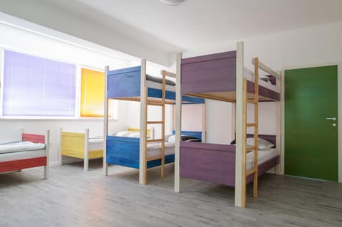 Bed, Photo of the whole room, Bedroom, bunk bed