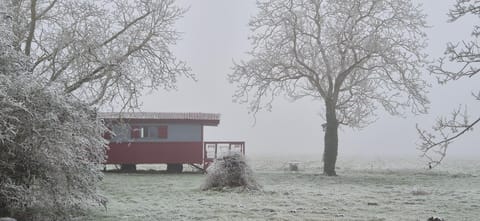 Day, Natural landscape, Winter