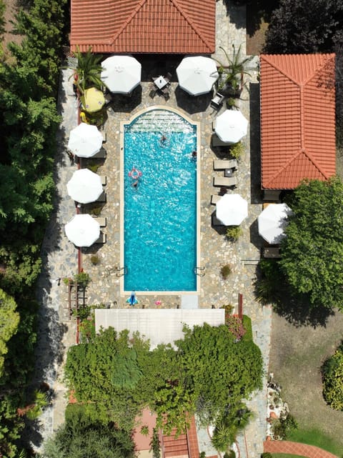 Restaurant/places to eat, Day, Garden, Garden view, Pool view, Swimming pool, Breakfast, sunbed