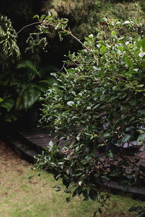 Surf Motel Hotel in North Kuta