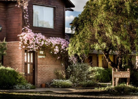 Property building, Facade/entrance, Garden