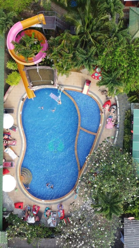 Aqua park, Swimming pool