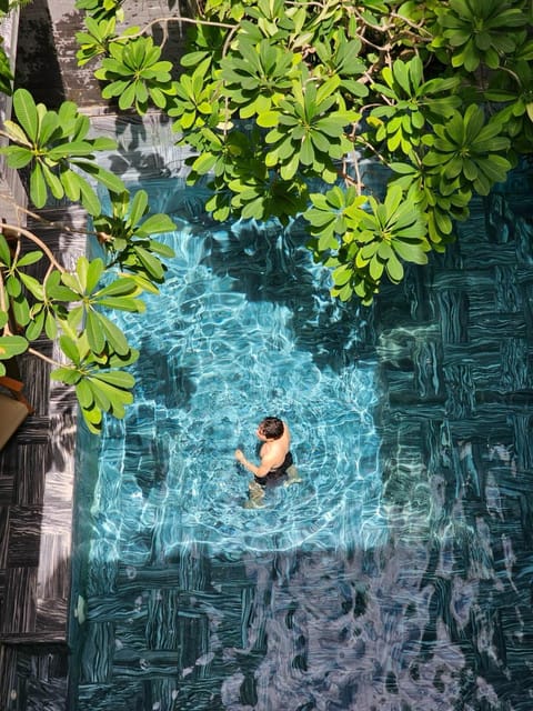 Spring, Day, People, Natural landscape, Garden, Garden view, Pool view, Swimming pool