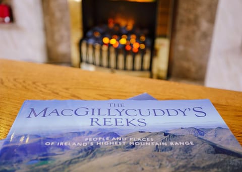 The Harp Bed and Breakfast in Killarney