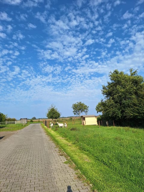 Ferien- und Pferdehof Egelkraut "Feriendomizil am Meer" Apartment in Wangerland