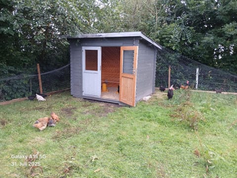 Ferien- und Pferdehof Egelkraut "Feriendomizil am Meer" Apartment in Wangerland