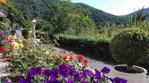 Haus Schönblick Apartment in Cochem-Zell