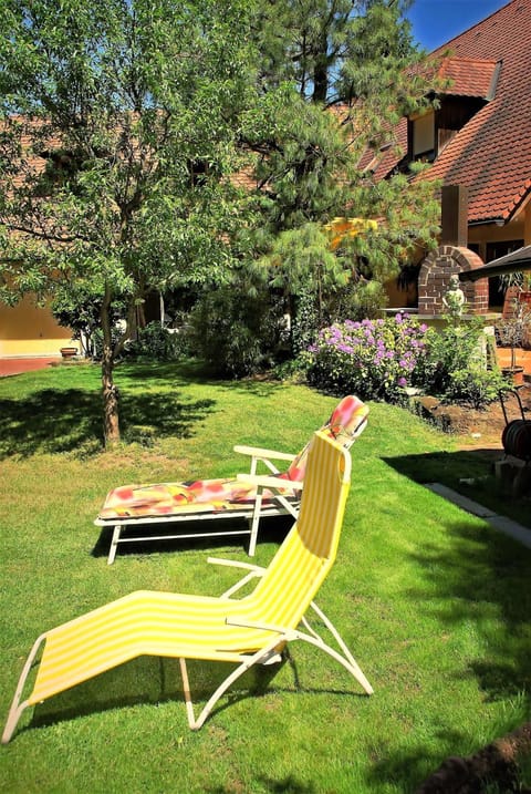 Property building, Summer, Garden