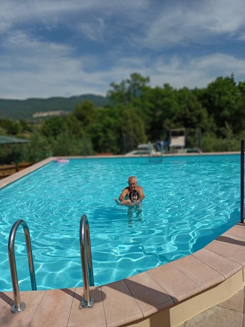 Swimming pool, children, Family
