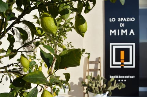 Property building, Patio, Staff, Facade/entrance, Spring, Property logo or sign, Winter, Summer, Garden, Balcony/Terrace, Other, Decorative detail, Floor plan, Autumn, Guests, Seasons, children, young children, older children, group of guests, Family