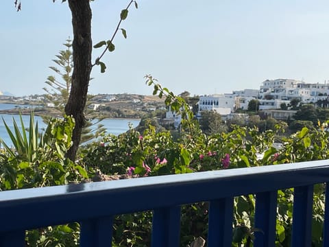 Anna's Studio Apartment in Paros, Greece