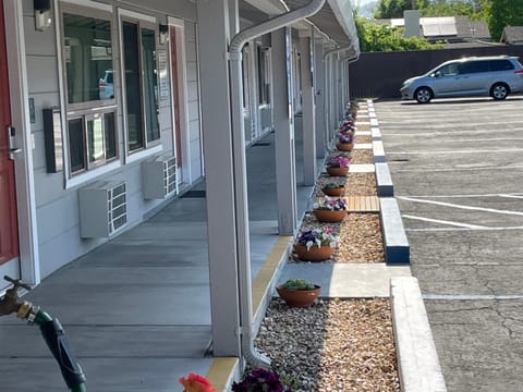 Lark Motel Willits Motel in Willits