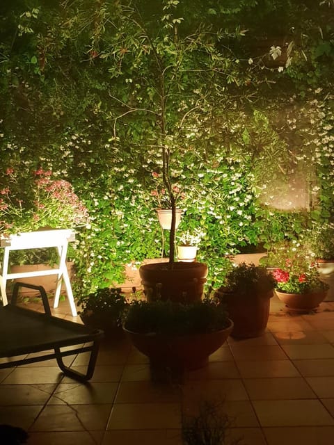 Garden, Garden view, Internal: Not applicable to any particular room