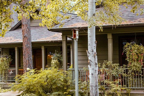 Property building, Day