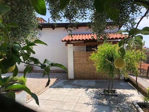 Property building, Patio, Facade/entrance