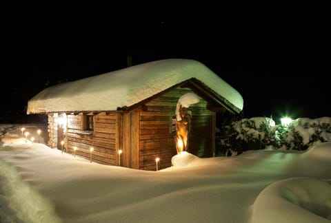 Property building, Night, Natural landscape, Winter