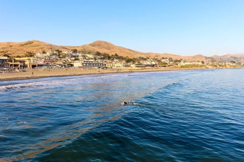 Oceanfront Delight House in Cayucos