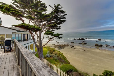 Oceanfront Dream House in Cayucos