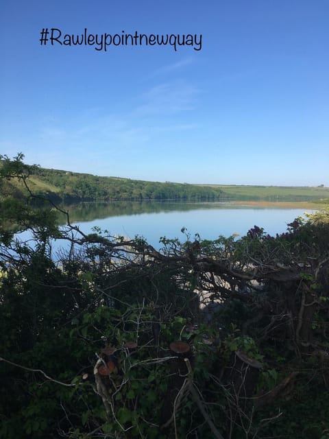 Rawley point House in Newquay